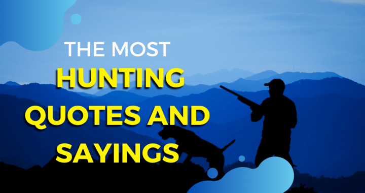 Top Hunting quotes and sayings